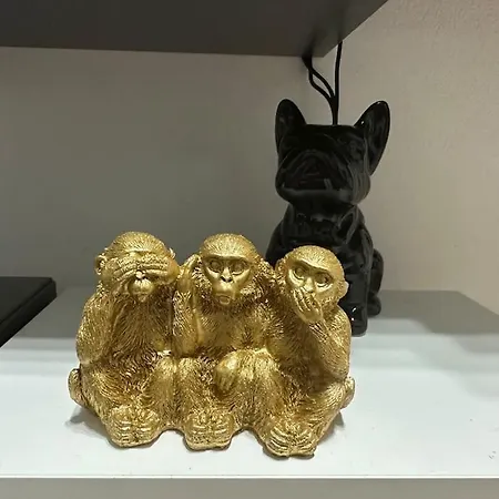 Indomabile Cantù
